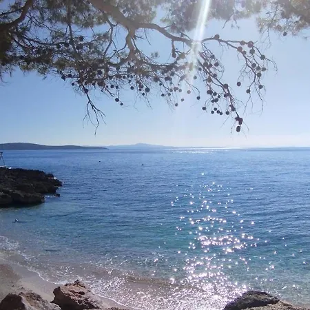 Seaside Toma *
