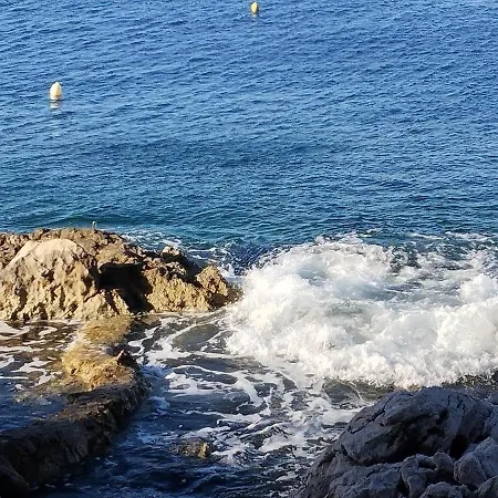 Seaside Toma